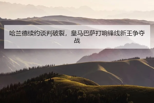 ha-lan-de-xu-yue-tan-pan-po-lie-huang-ma-ba-sa-da-xiang-feng-xian-xin-wang-zheng-duo-zhan-2-810.jpg
